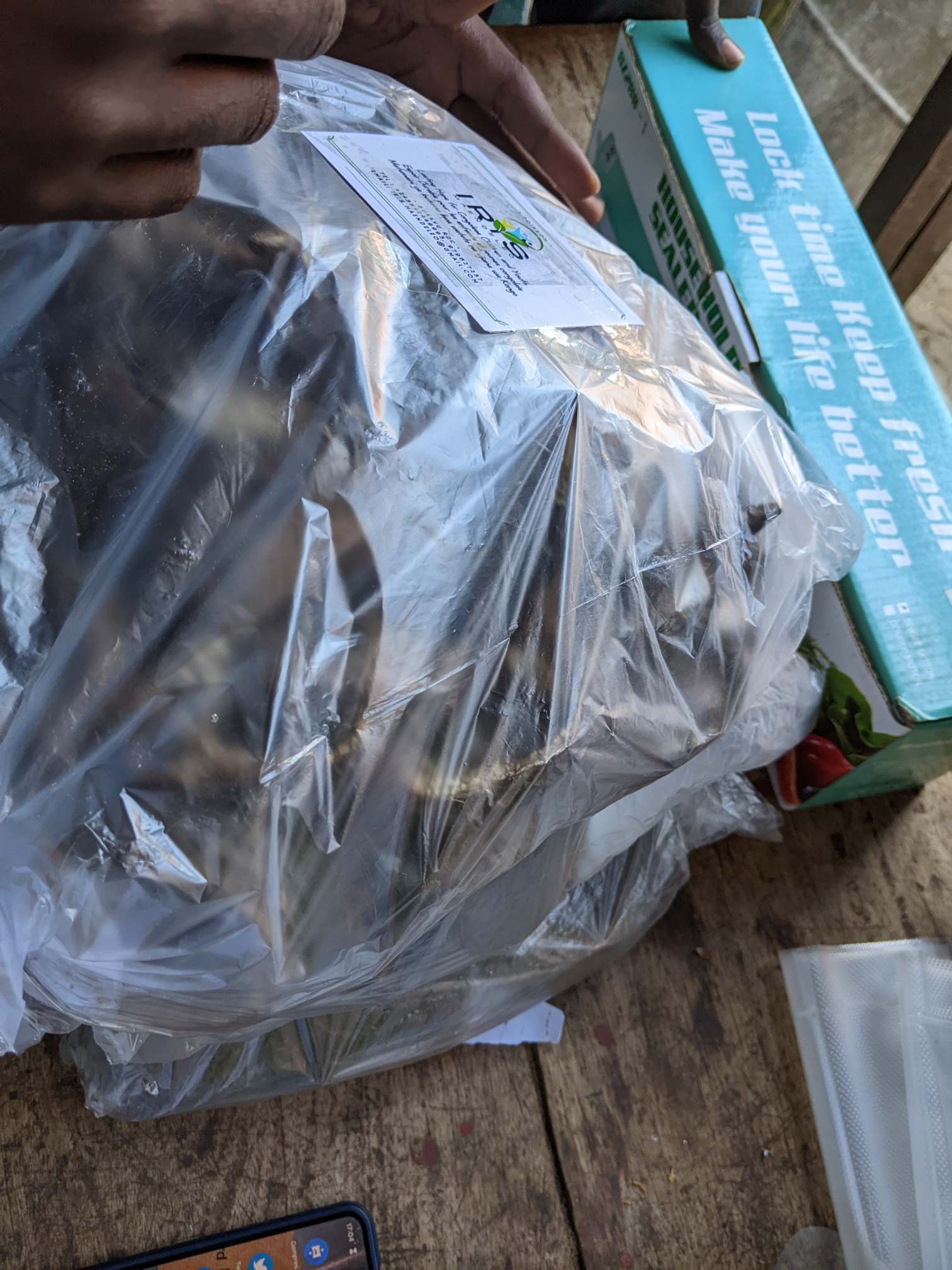 Women and Youth entrepreneurship