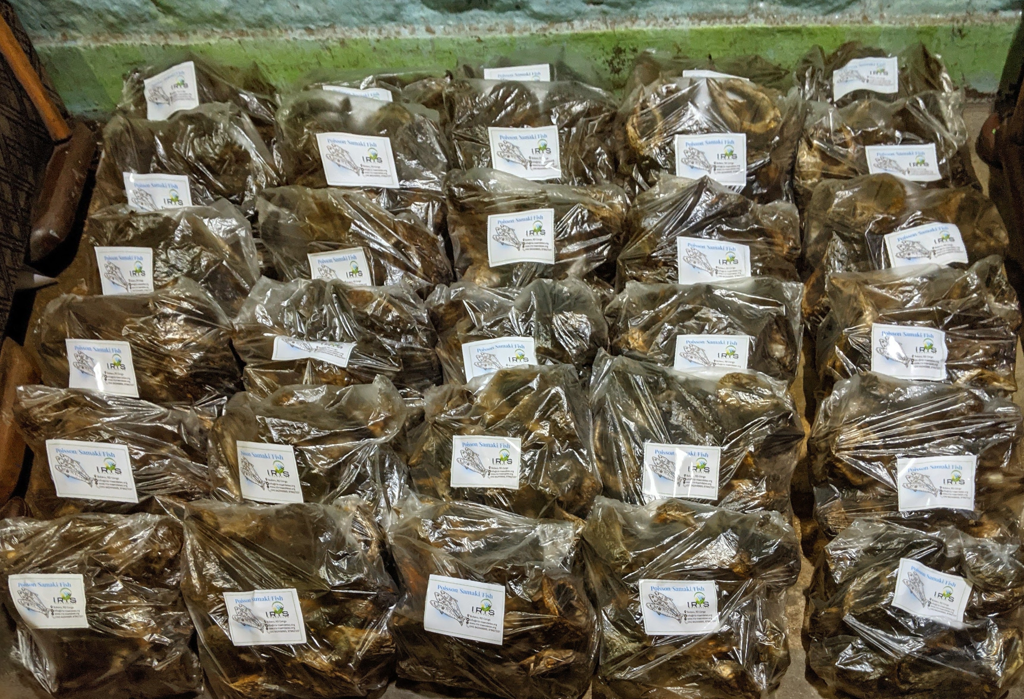 Women and Youth entrepreneurship